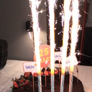 A chocolate cake with sparklers and a sign saying SALTO 25 years.
